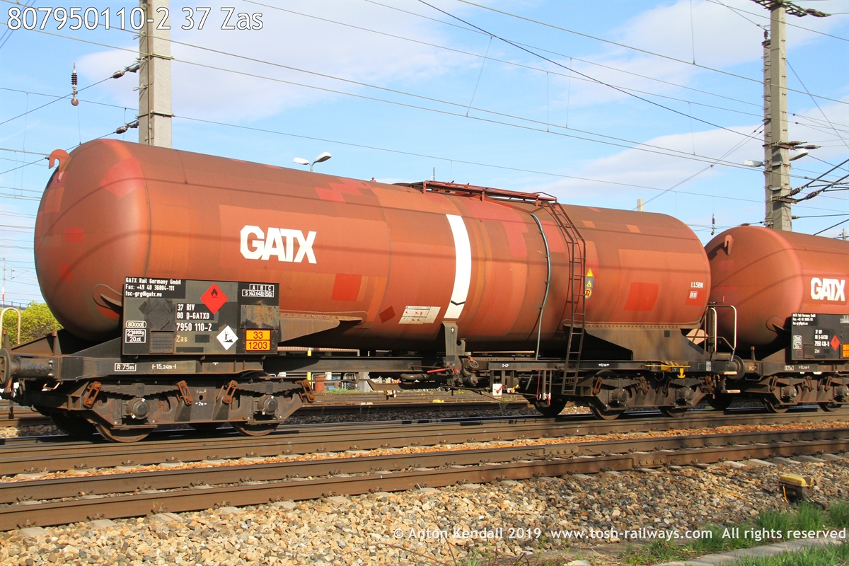 807950110-2_37 Zas.JPG